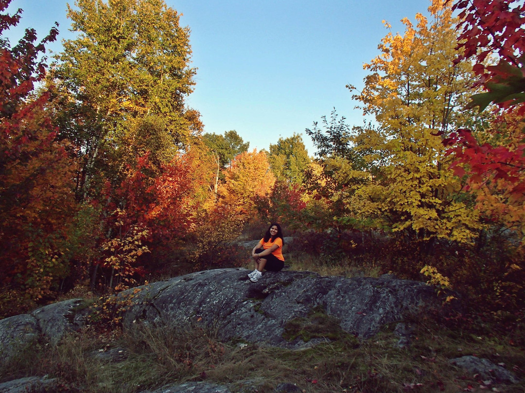 Laurier Woods Conservation Area-诺斯贝必去景点