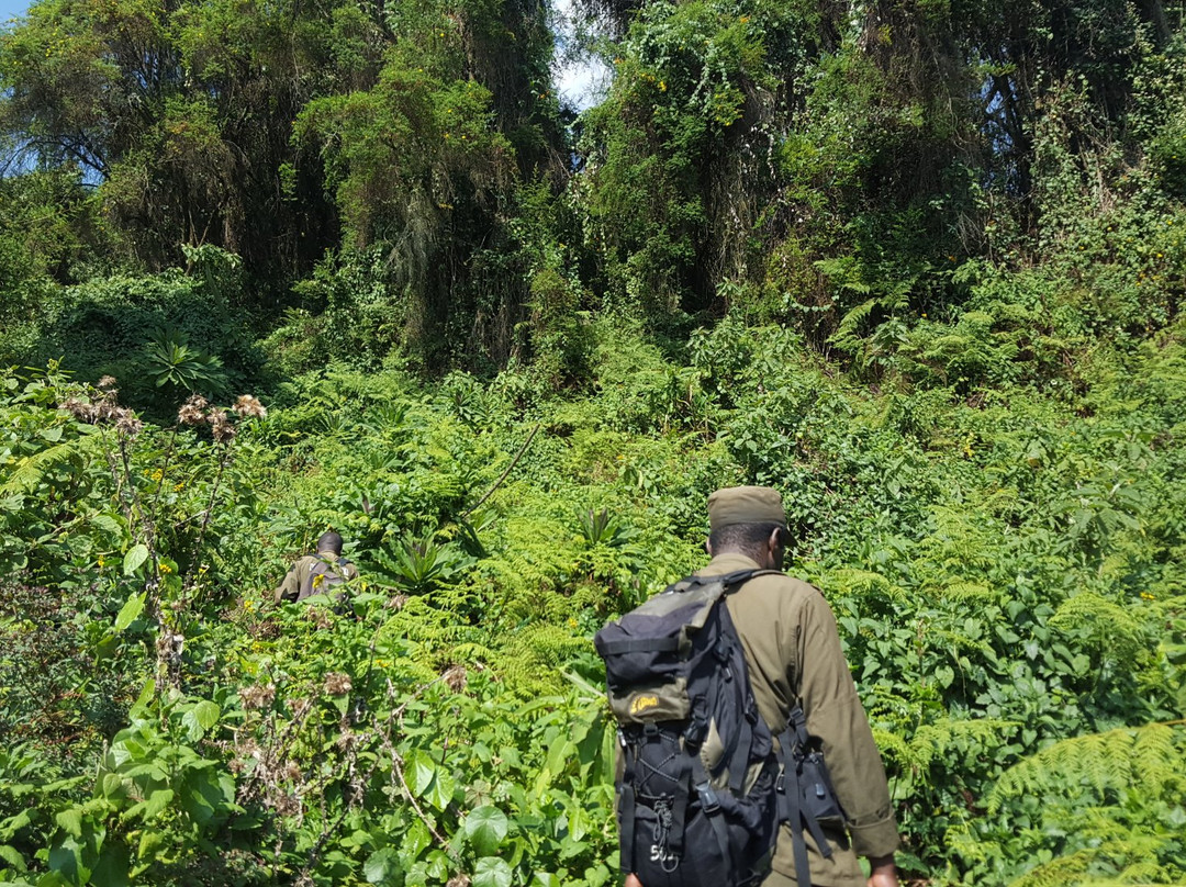 Intare Safaris Rwanda景点图片