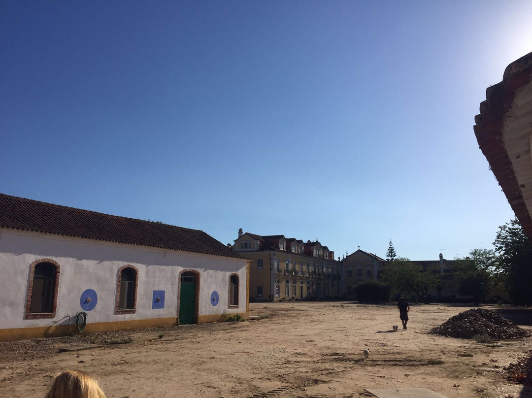 Quinta da Lagoalva de Cima景点图片