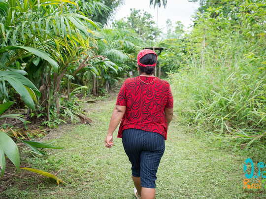 Osa Rural Tours-彭塔雷纳斯必去景点