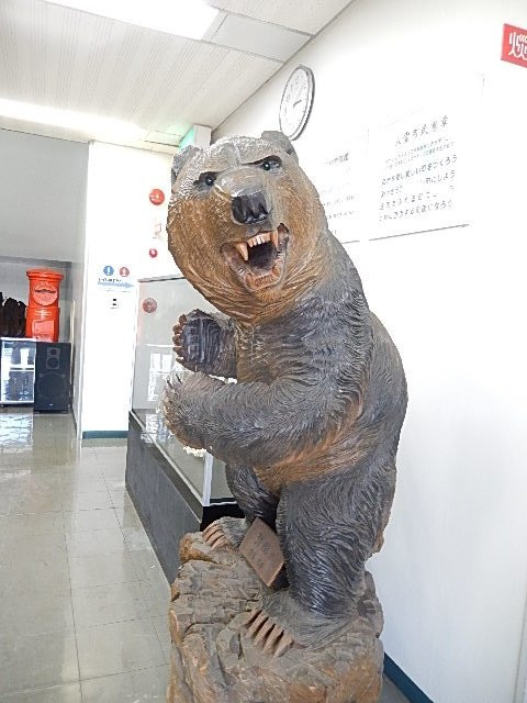 Yakumocho Carved Wooden Bears Museum-八云町必去景点