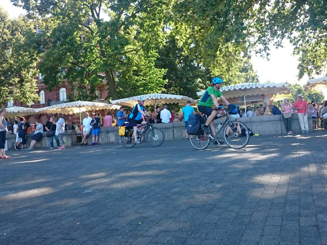 Mainz-Kostheim旅游攻略图片