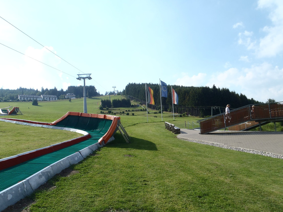 Sommerrodelbahn Willingen-Willingen必去景点