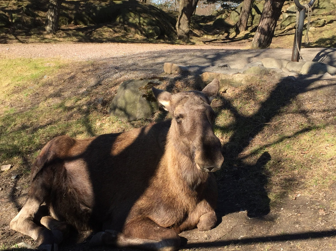 Children's Zoo-哥德堡必去景点