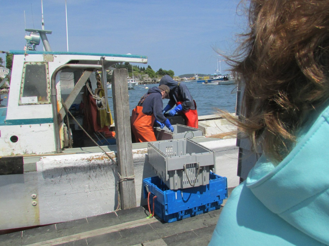 Stonington Lobster CO-OP景点图片