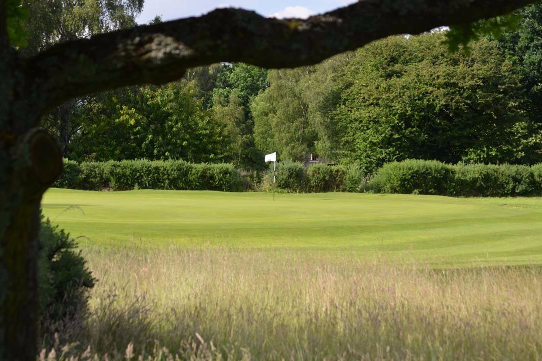 Harpenden Common Golf Club景点图片