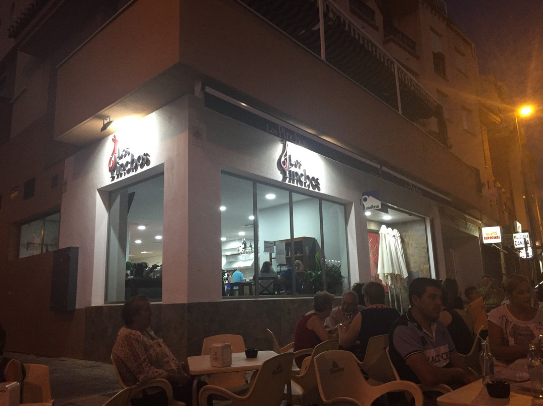 Gojar餐馆和美食-Los Pinchos. Gran Seleccion