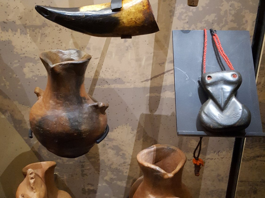 Museo Regional de la Araucania-特木科必去景点