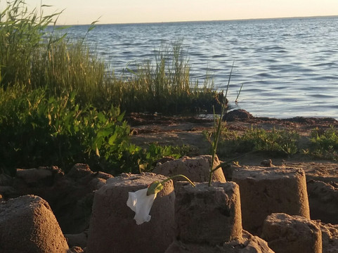 Ölands Camping主图