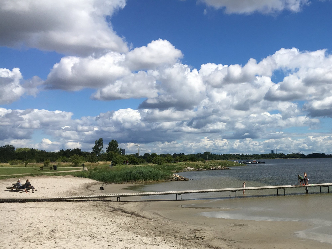 Hvidovre Havn景点图片