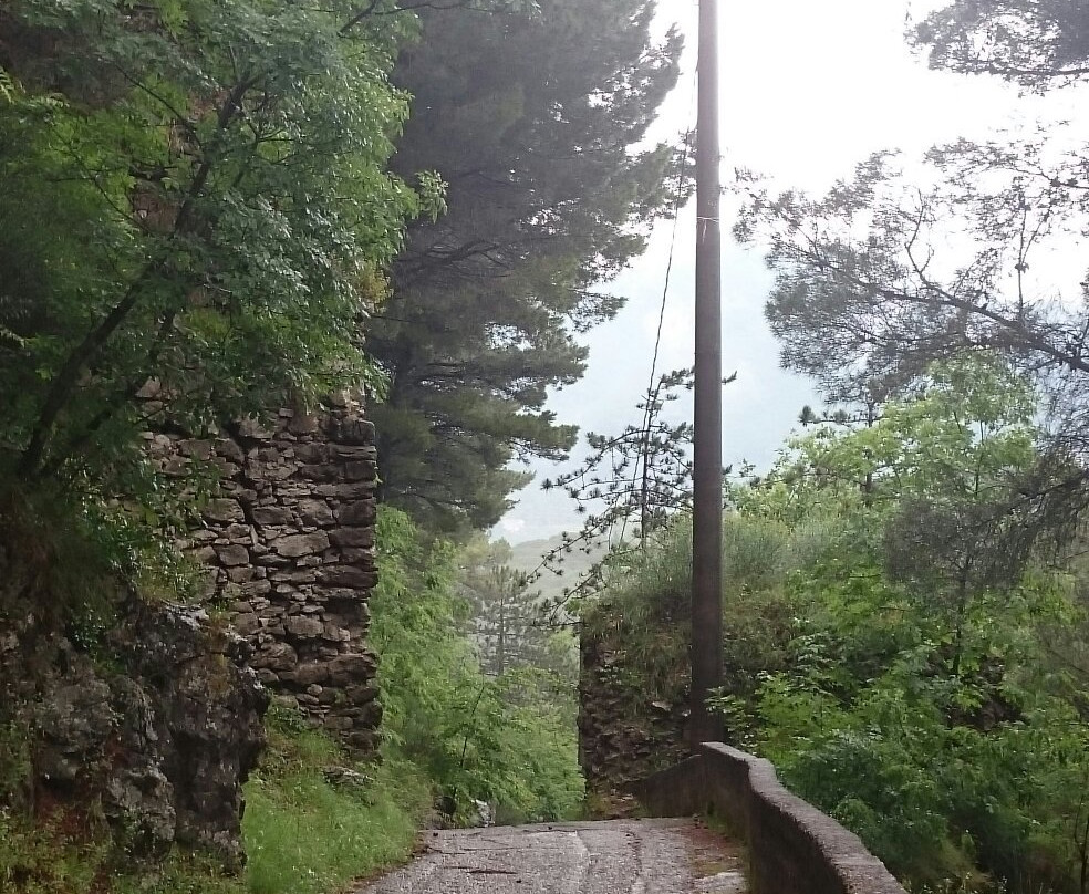 Monte Castello景点图片