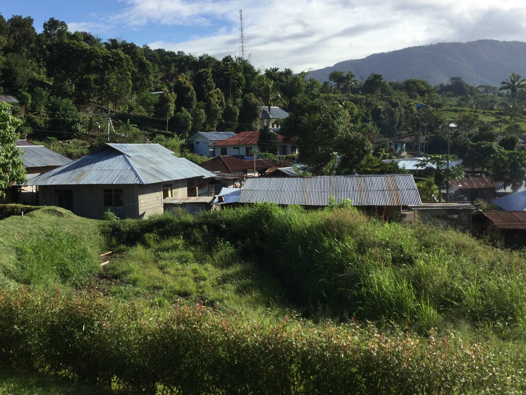 Angi Lodge-酒店景观