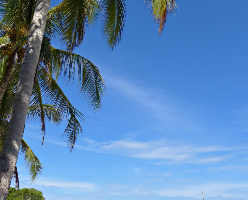 Malamawi Island-Isabela City必去景点
