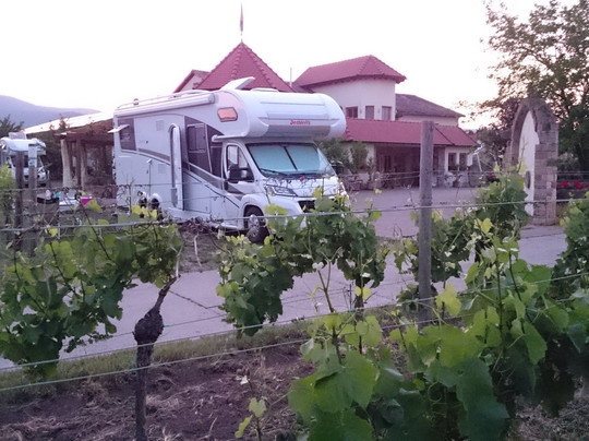 Gimmeldingen旅游景点-Weingut Schäfer