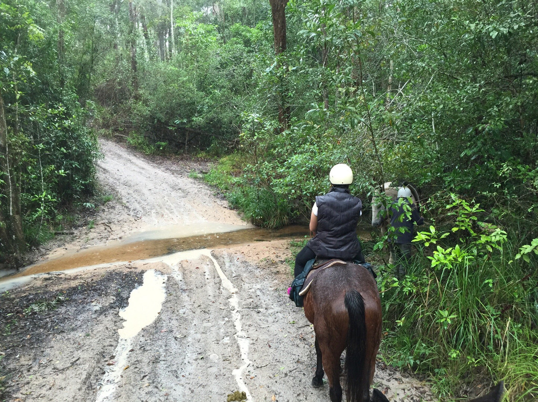 Tait's Wongabel Stables- 阿瑟顿必去景点