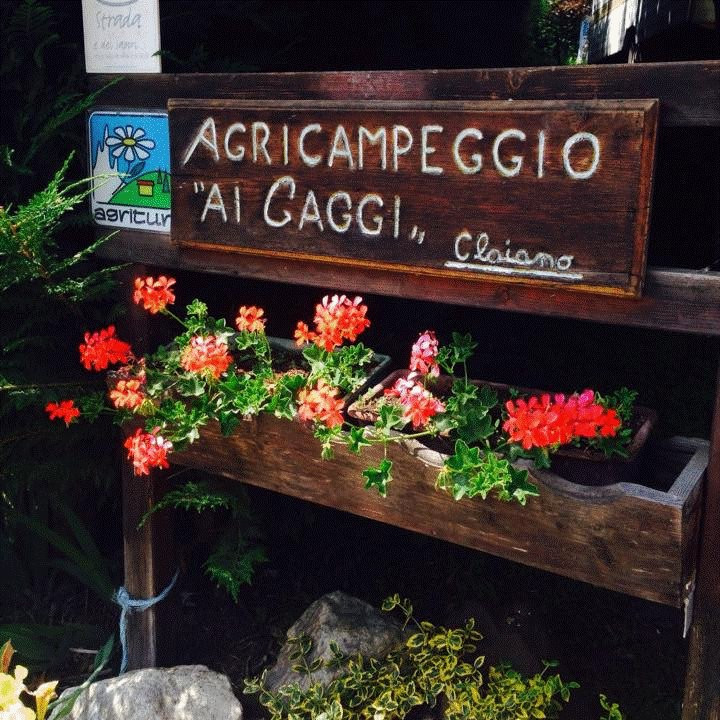 Agricampeggio Ai Gaggi