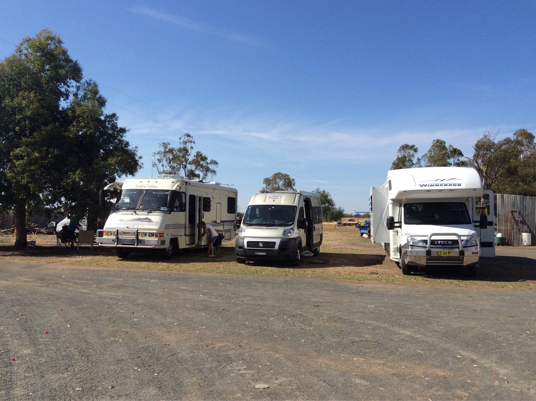 Nakadoo Shed & Horse-Drawn Tours-Coonamble必去景点