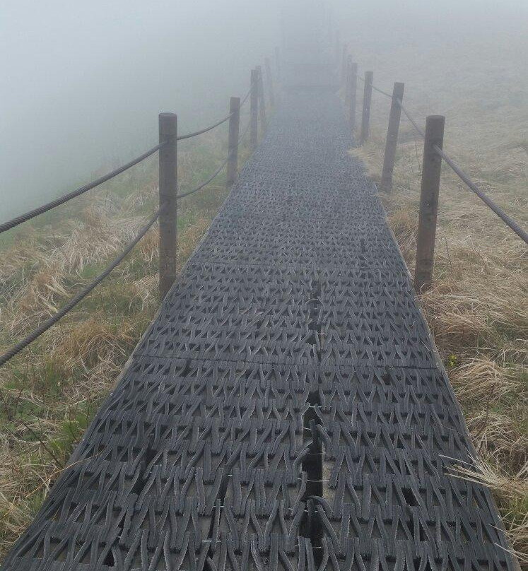 Punggi Tourist Hotel主图