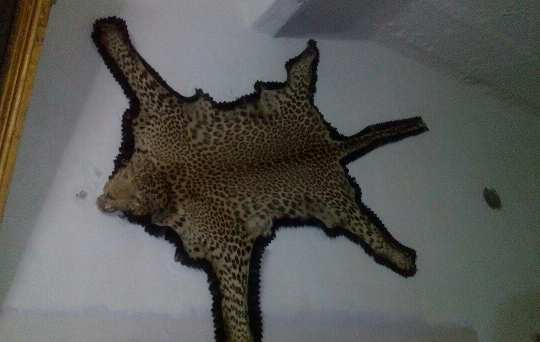 Bhadrajun Fort主图