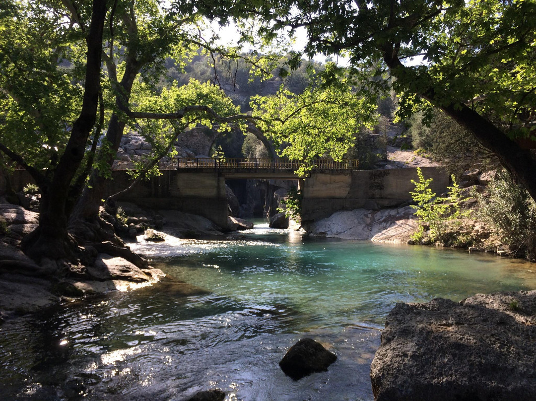 Real Rafting Adventure Outdoor Company景点图片
