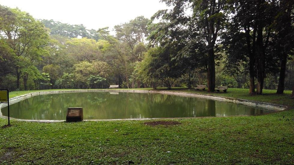 Kebun Raya Purwodadi-巴苏鲁安必去景点