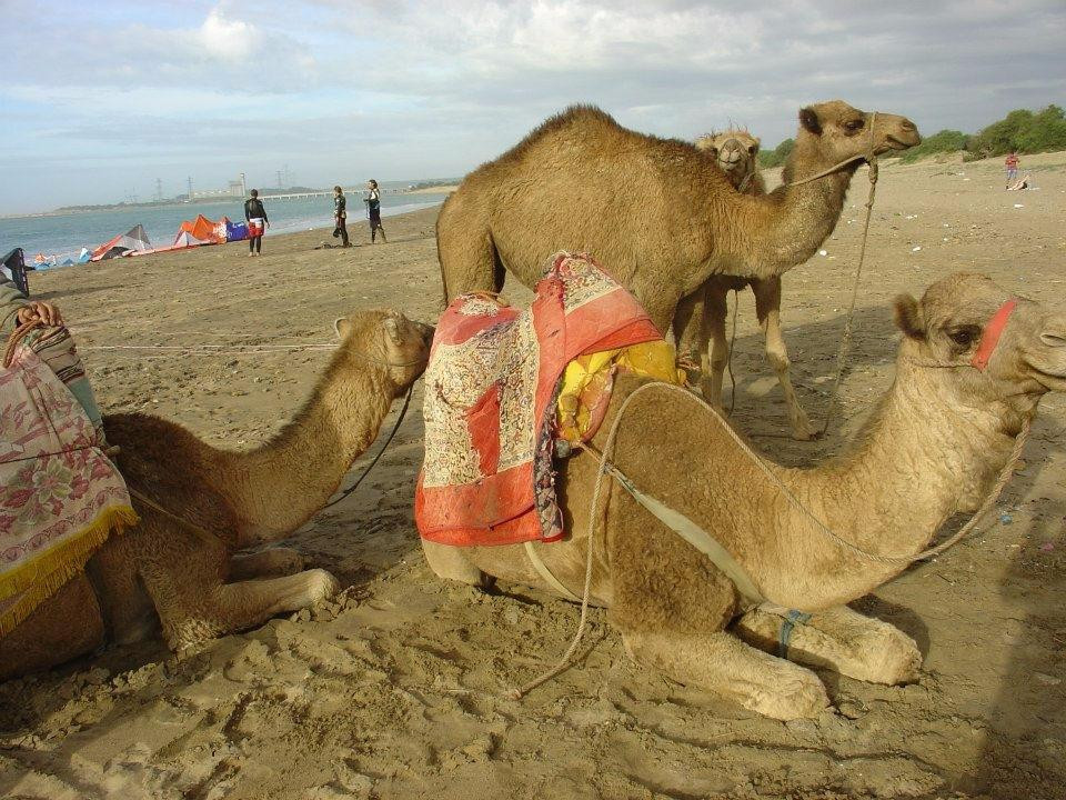 Progression-Mancora必去景点