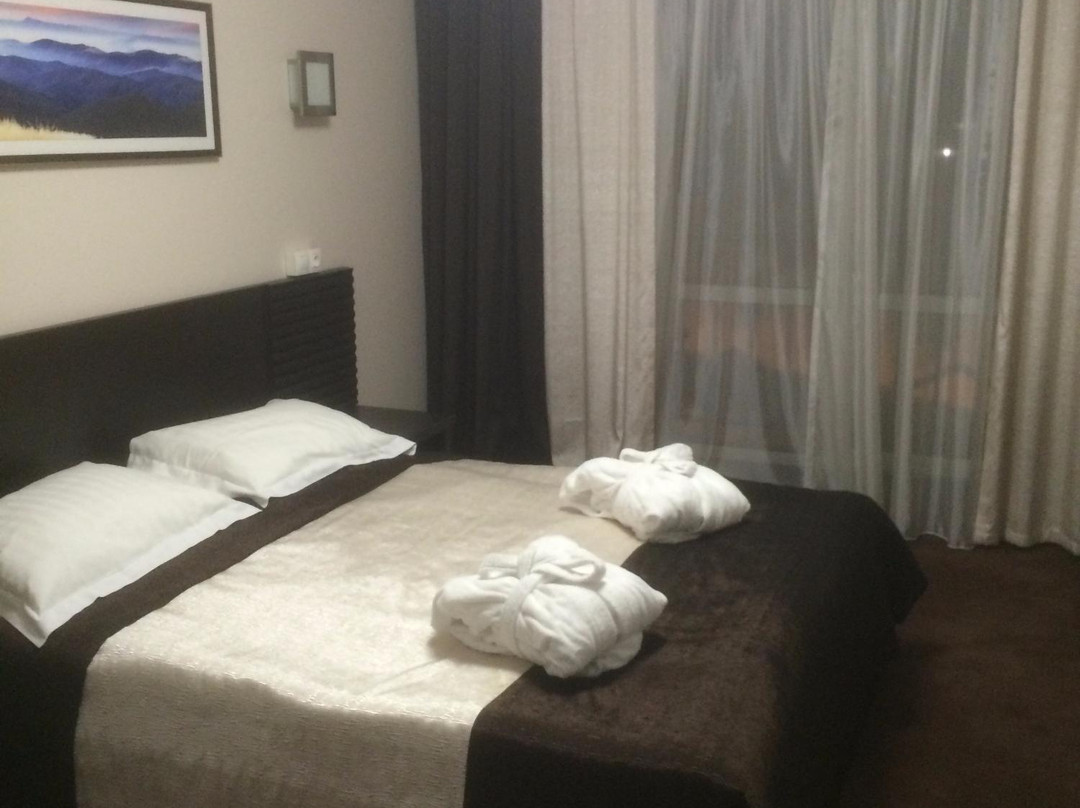Marmaros Apart-Hotel主图