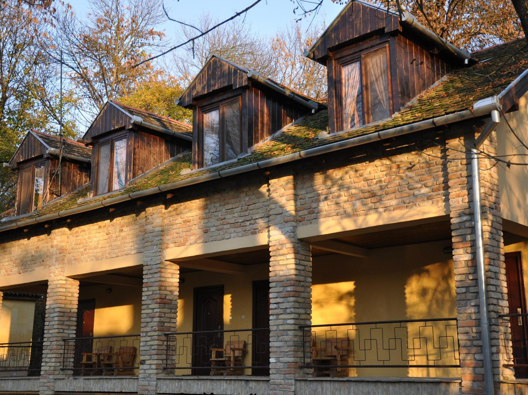 Guest House Pikec主图