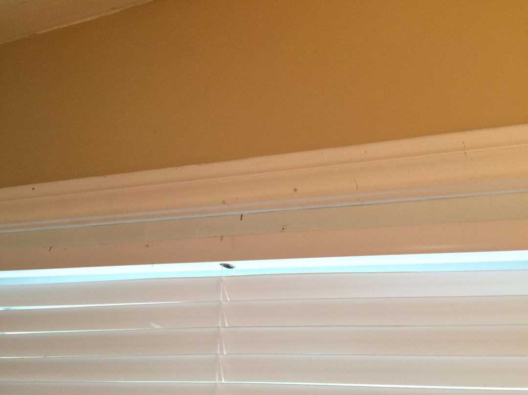 Old Bridge Inn B&B主图