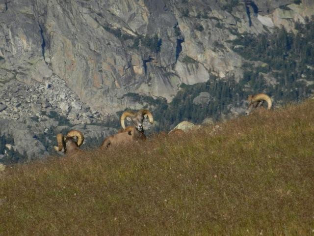 Rocky Guides-埃斯蒂斯公园必去景点
