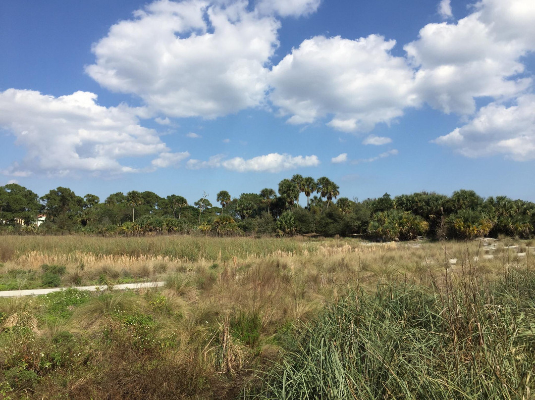 Pondhawk Natural Area-博卡拉顿必去景点