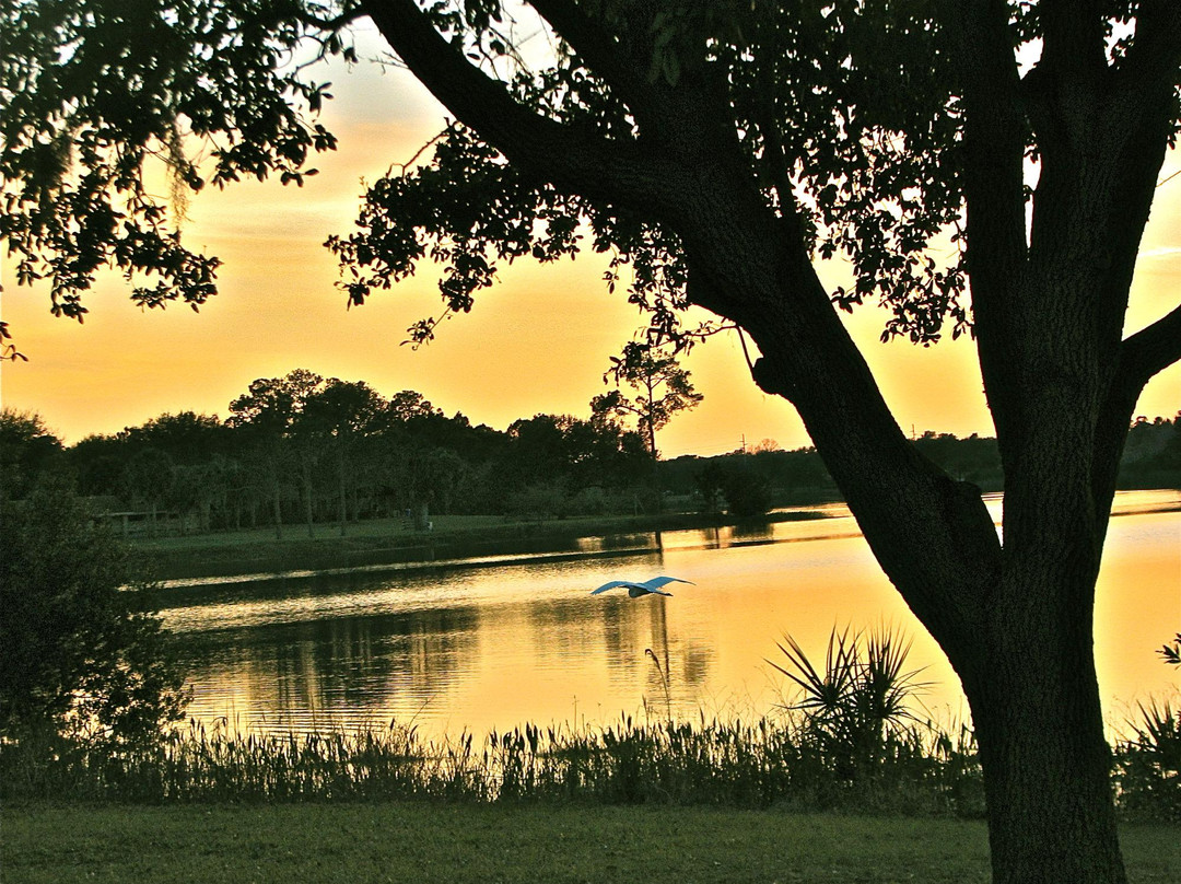 Walsingham Park景点图片