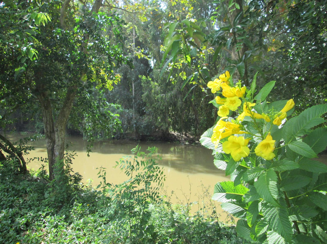 Gao Giong Eco-tourism Park-Cao Lanh必去景点