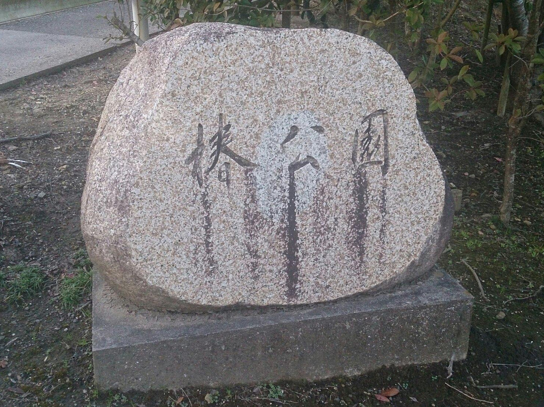 Tsubaki Park-夷隅市必去景点