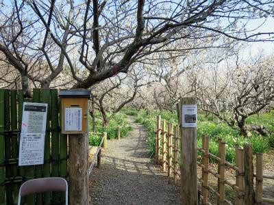 Soho Tokutomi Museum