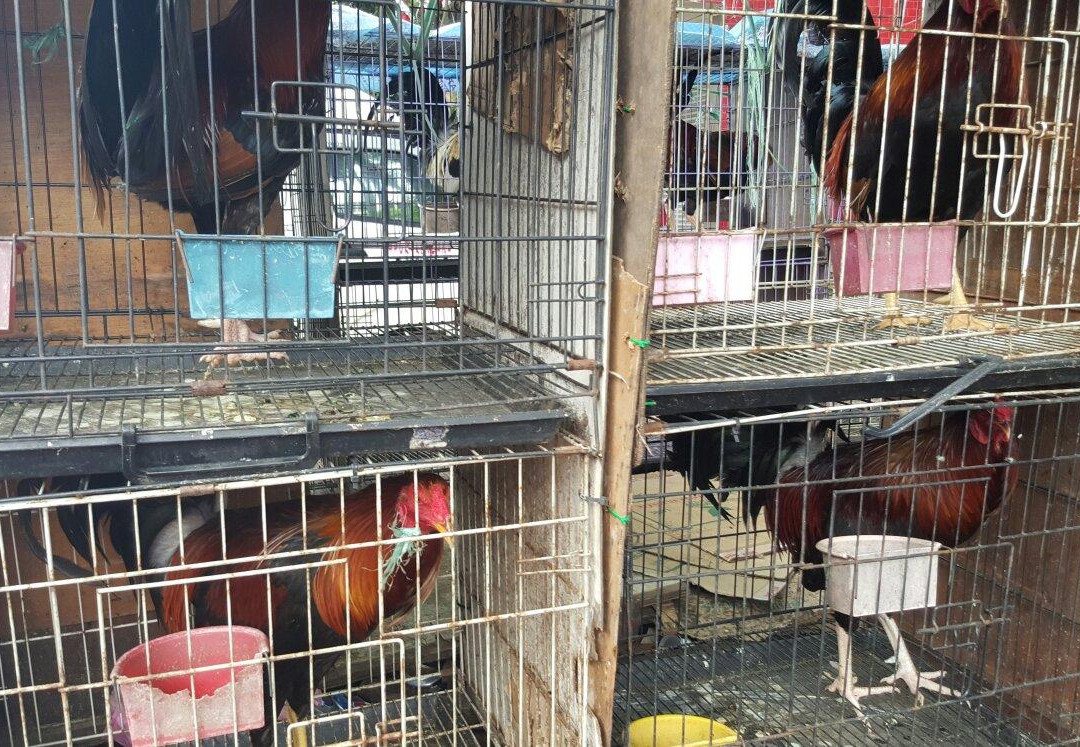 Pasar Tamu & Pasar Utama-宾图卢必去景点