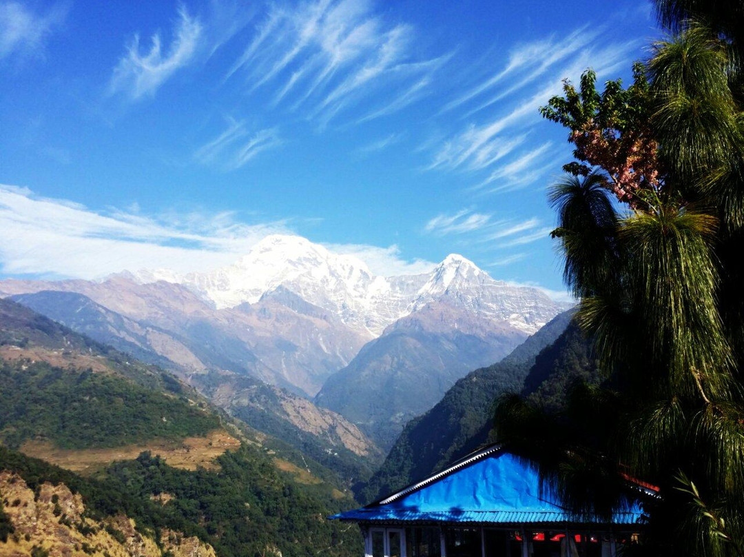 New Peaceful Guest House主图