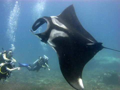 无重力潜水中心-查龙必去景点