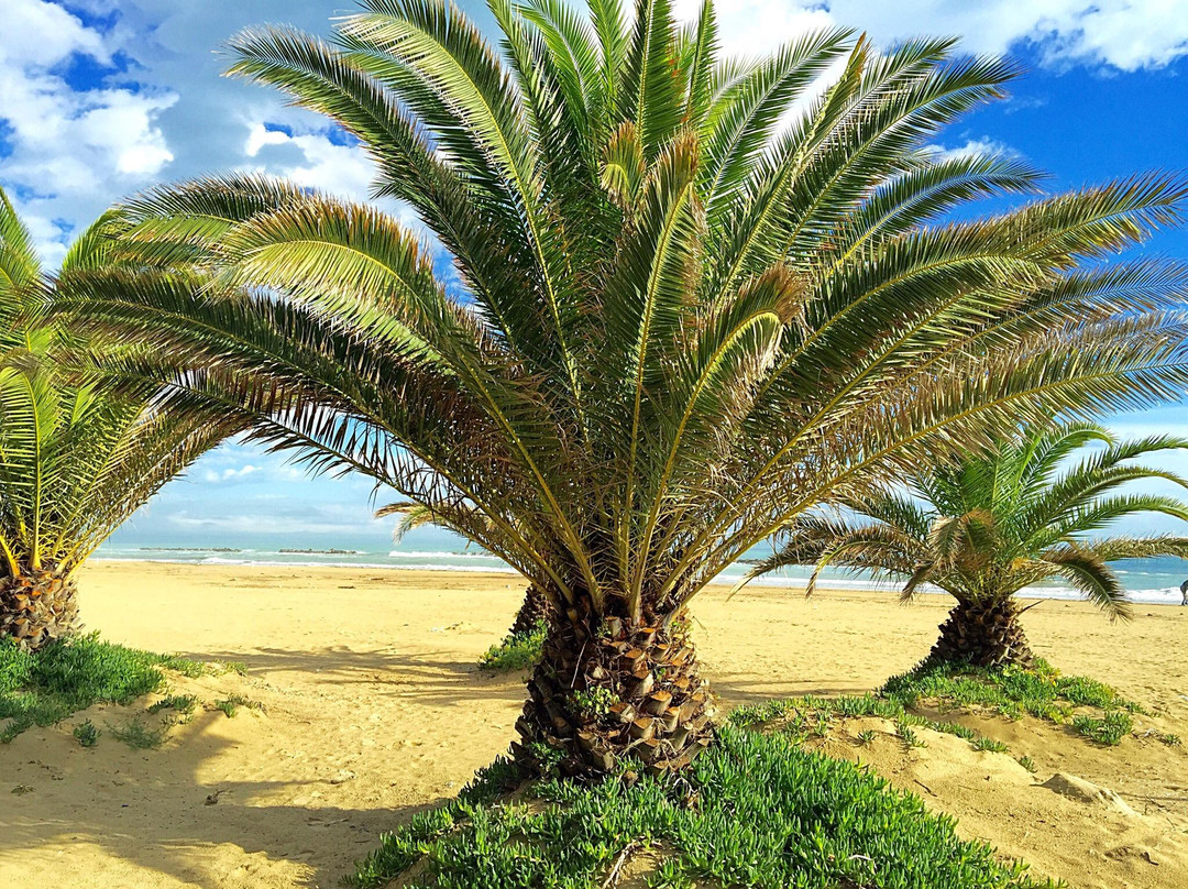 Lungomare San Benedetto del Tronto景点图片