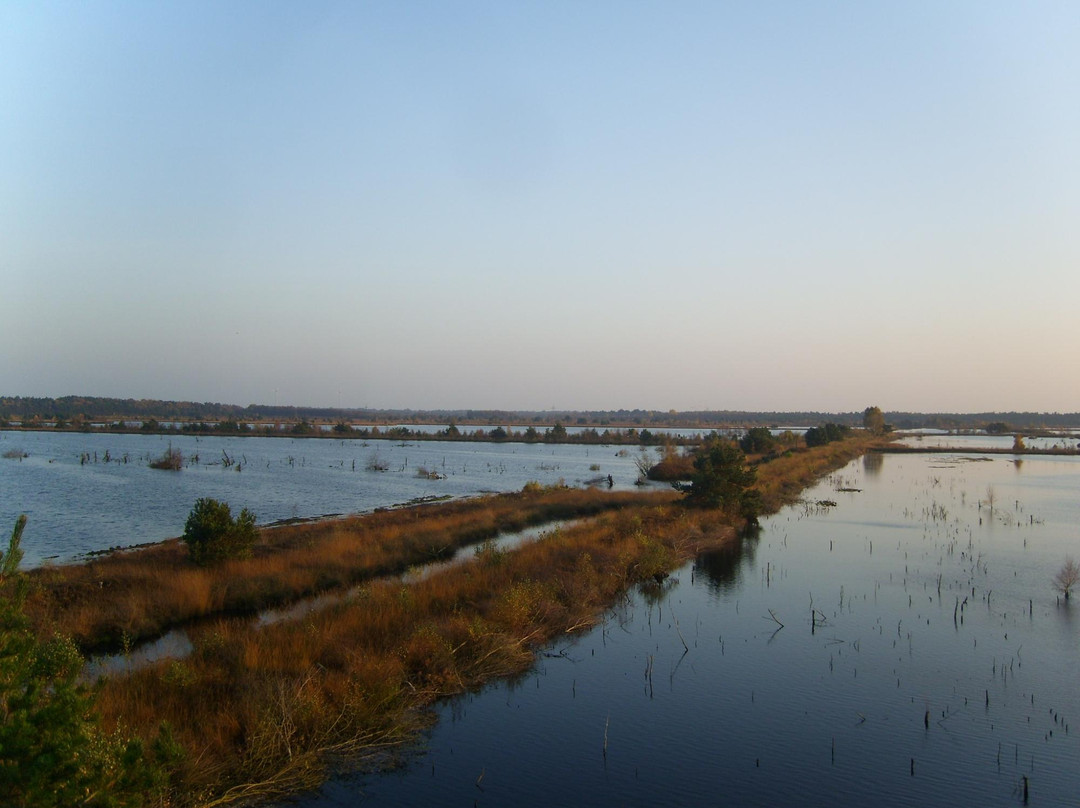 Rotenburg (Wumme)旅游景点-Tister Bauernmoor