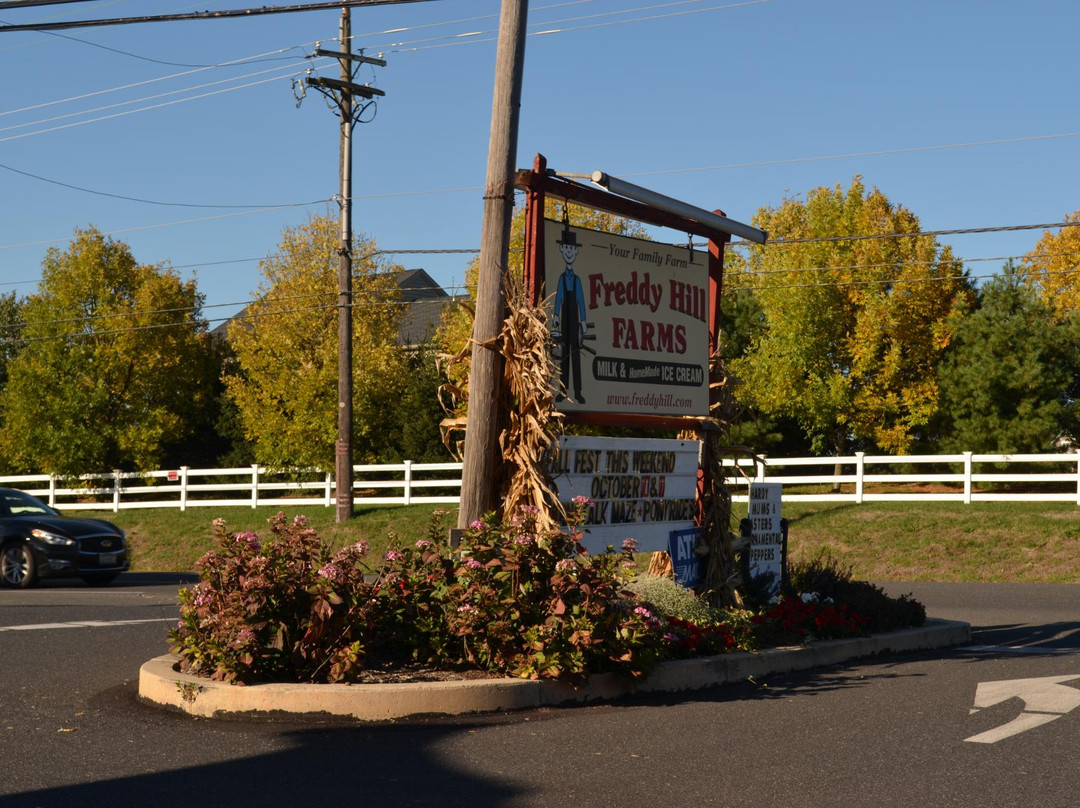 Freddy Hill Farms and Family Fun Center景点图片