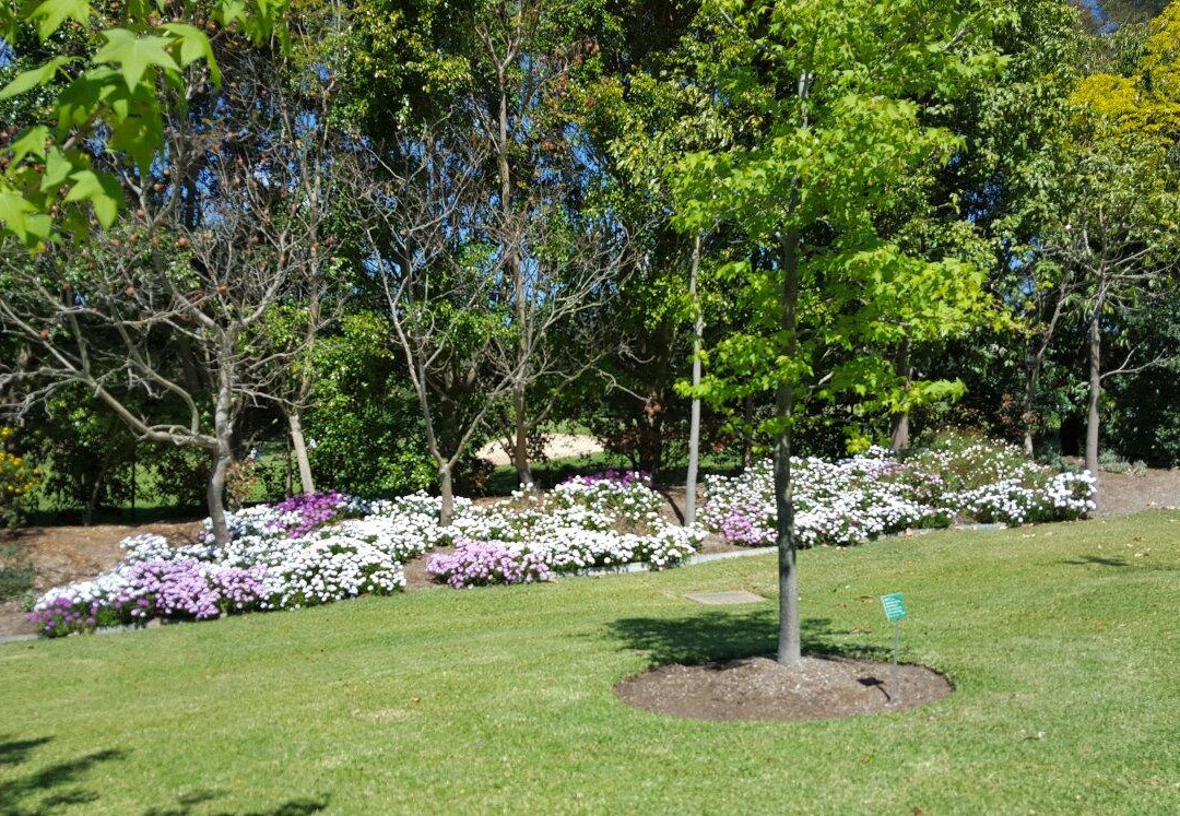 iHop Hunter Valley-波高尔宾必去景点