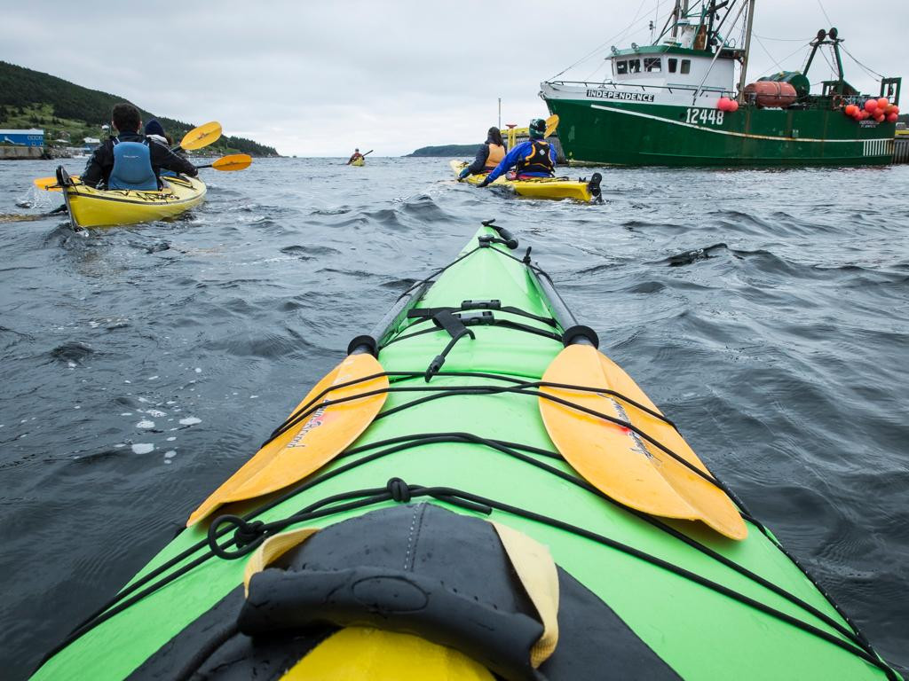 The Outfitters Adventures-Bay Bulls必去景点