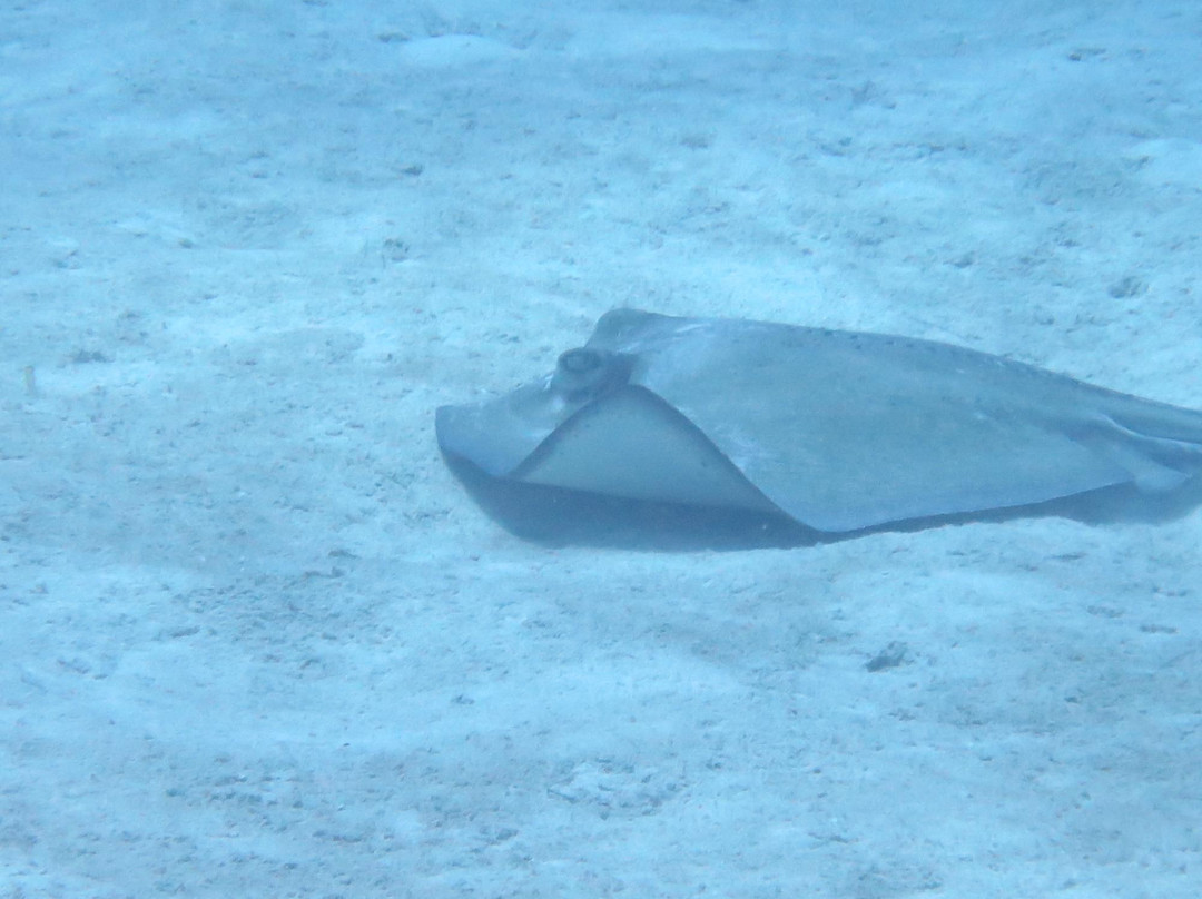 MacDonald's Arch-Grand Turk必去景点