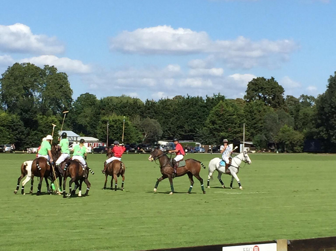 Ham Polo Club景点图片
