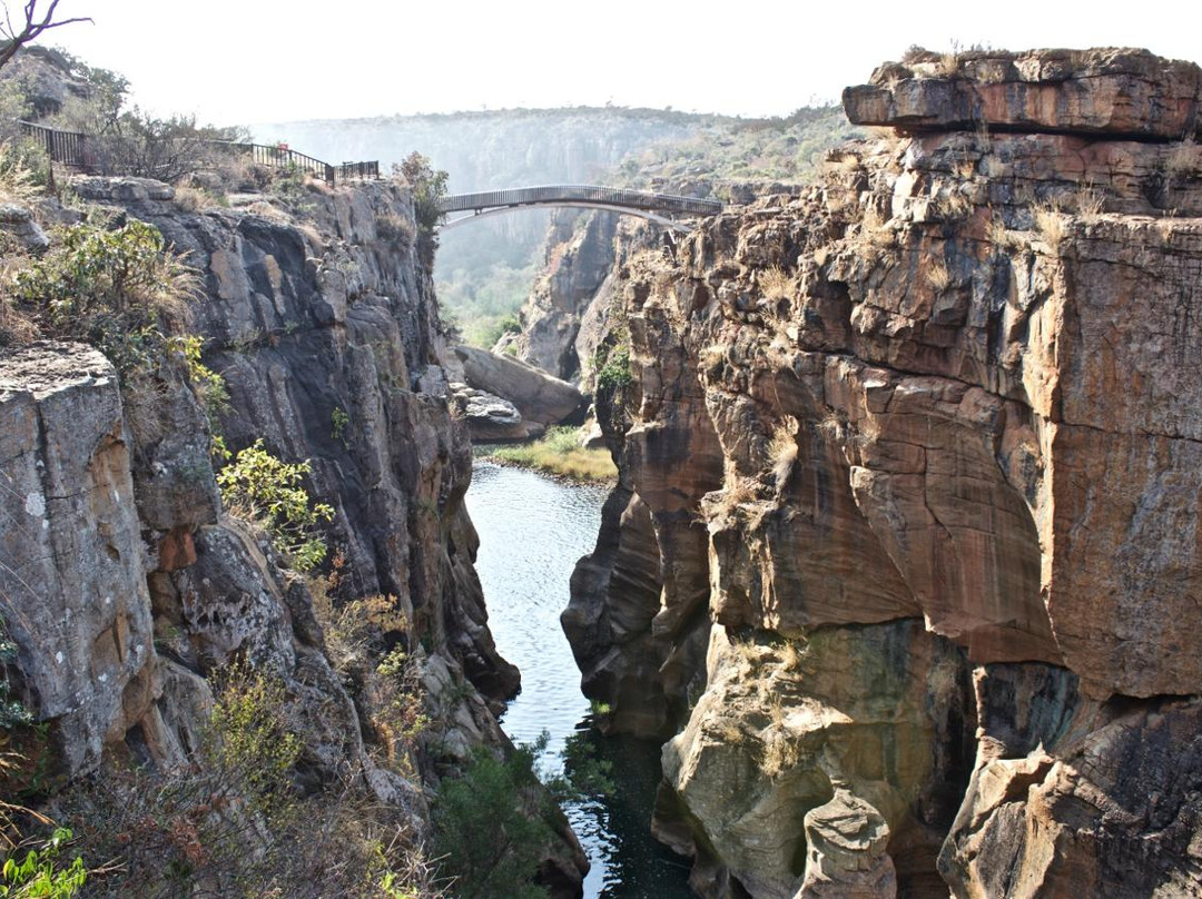Kruger Flexi Tours - Day Tours-尼斯普鲁特必去景点