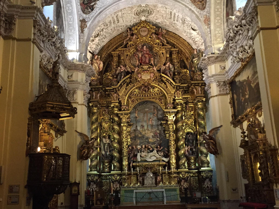 Santuario-Hospital de la Caridad景点图片