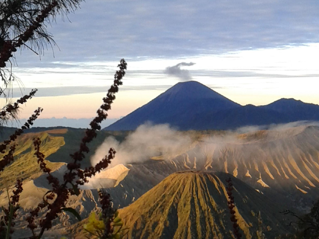 Bali Decouverte-登巴萨必去景点