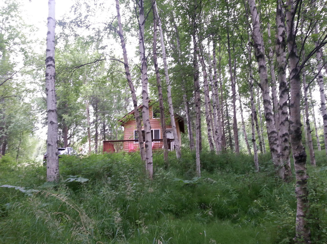 Alaska Creekside Cabins