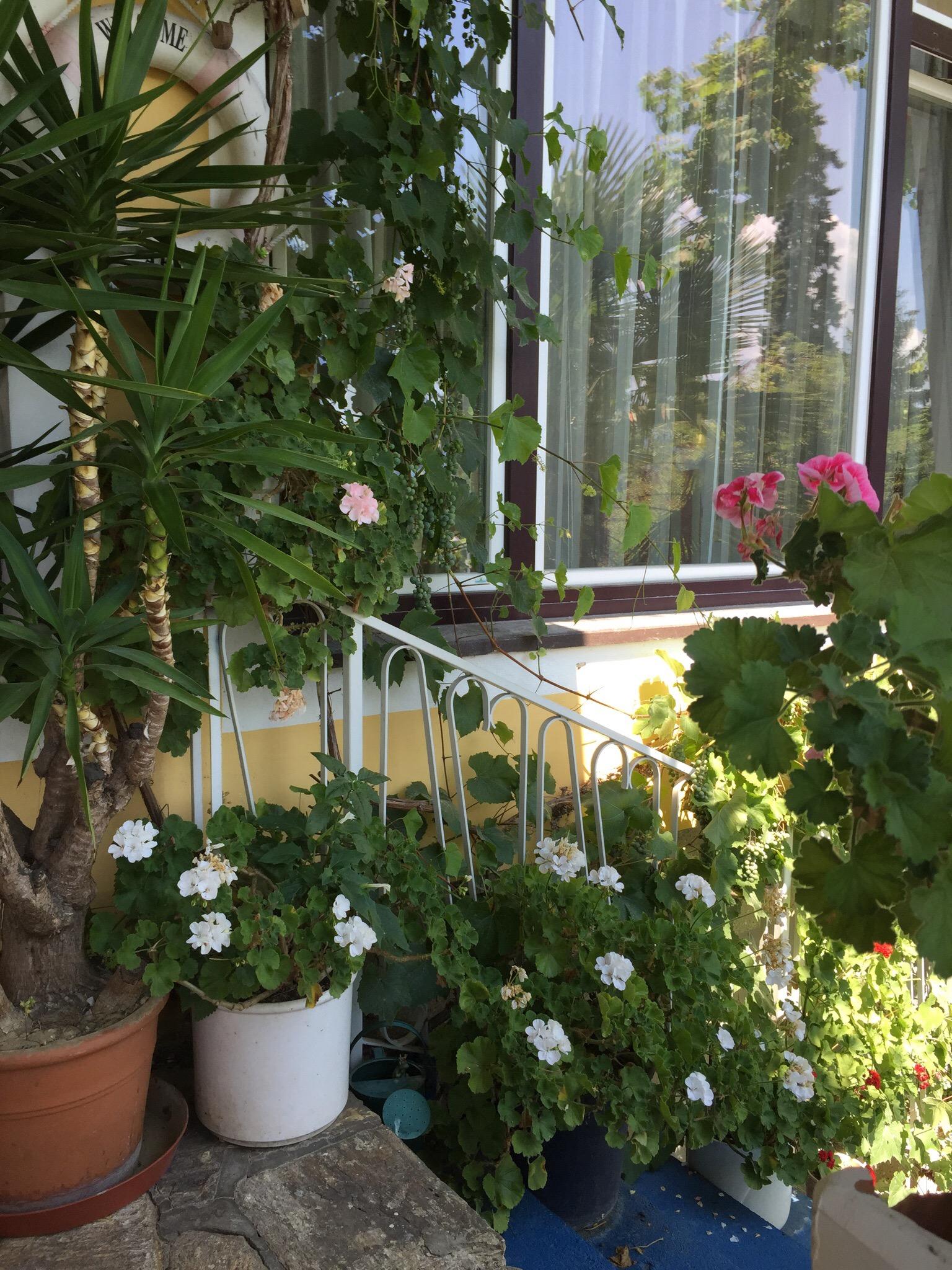 Hotel Nikolasch-浴室